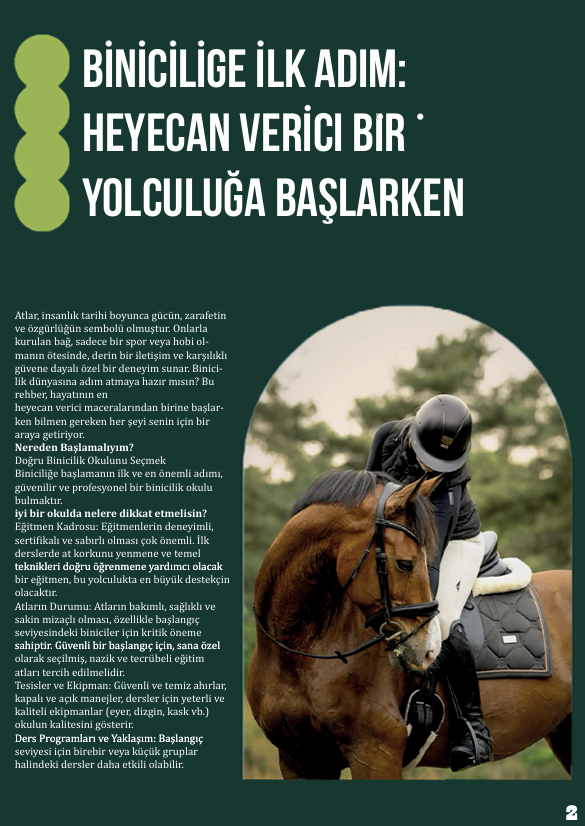 Horse Magazine Design 4
